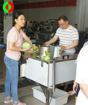 蔬果分瓣機(jī)現(xiàn)場(chǎng)測(cè)試，客戶滿意切割效果！