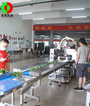 枕式蔬果包裝生產(chǎn)線,客戶現(xiàn)場(chǎng)測(cè)試驗(yàn)收！
